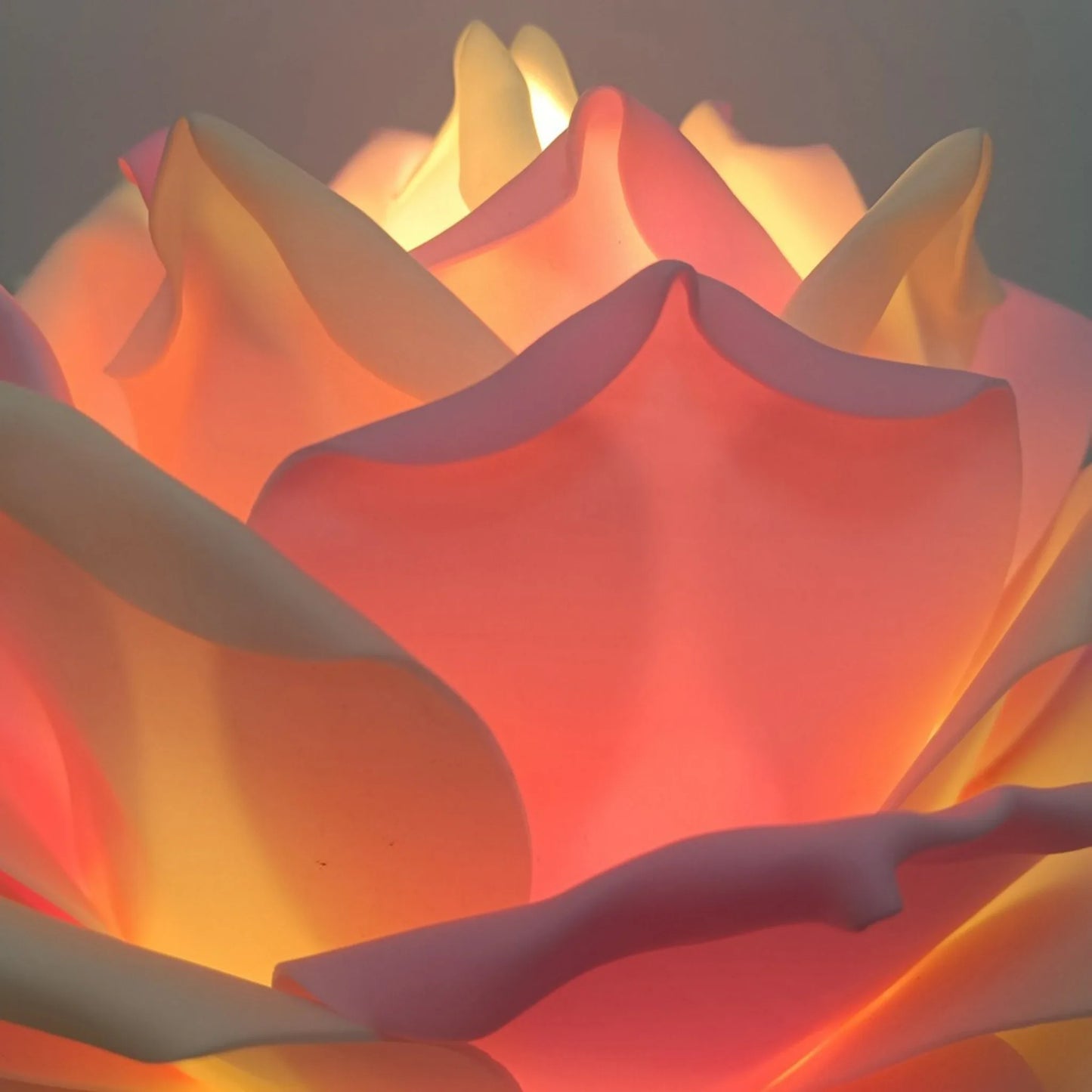 Rose Petal Shaped Desk Lamp Button Switch USB Plug Suitable for Desktop Decoration Bedroom Bedside Night Light Wedding Desk Lamp